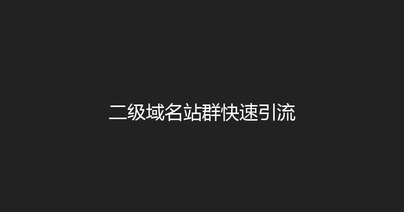 二级域名站群快速引流 封面图