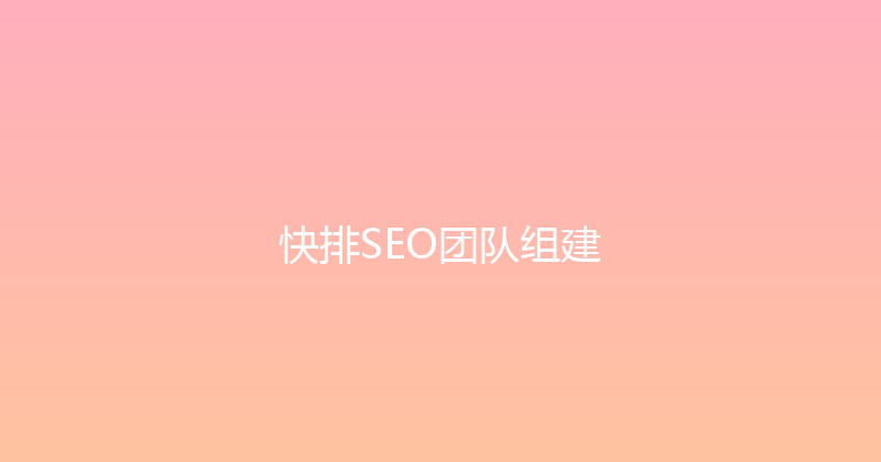 快排SEO团队组建 封面图