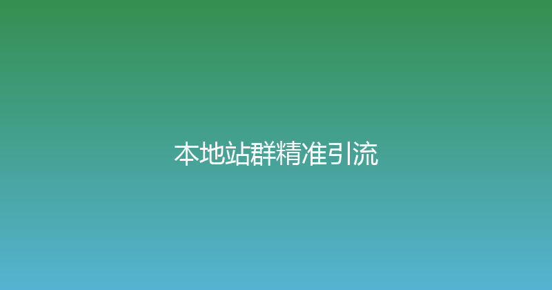 本地站群精准引流 封面图