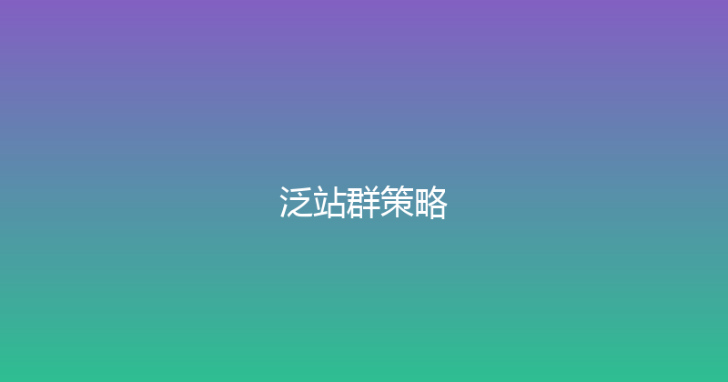 泛站群策略 封面图