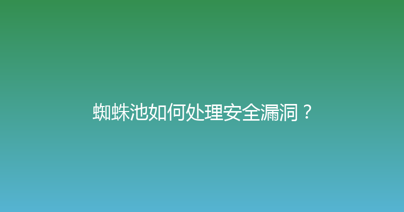 蜘蛛池如何处理安全漏洞？ 封面图